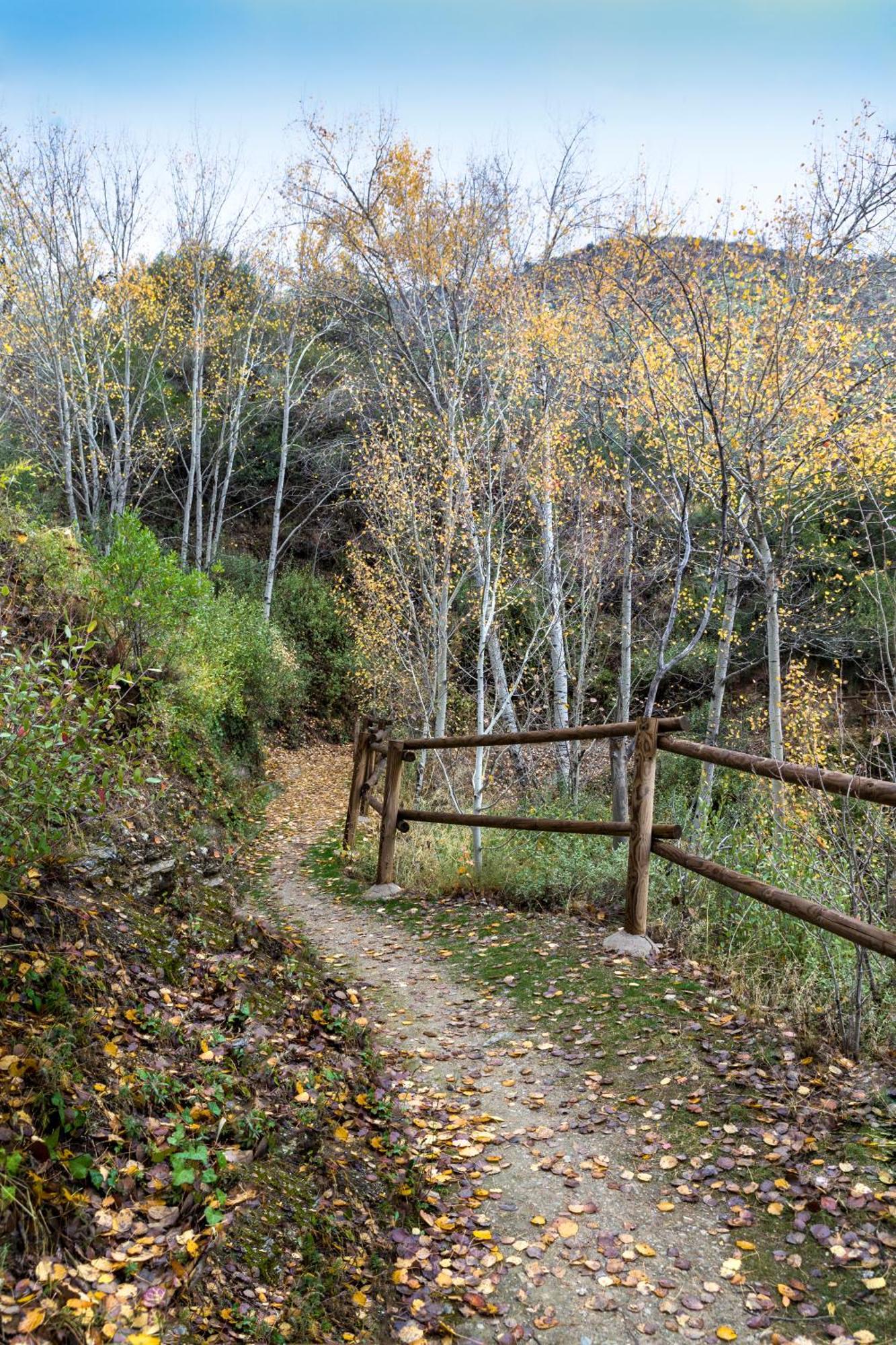 Reul Alto Cortijos Rurales Vendégház Laroya Kültér fotó